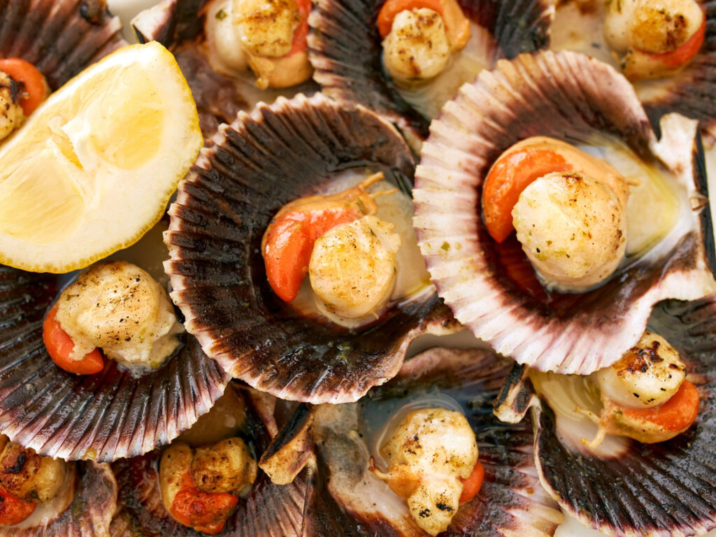 Adiós al agua para descongelar las vieiras: así obtienen los chefs un sabor único sin estropearlas