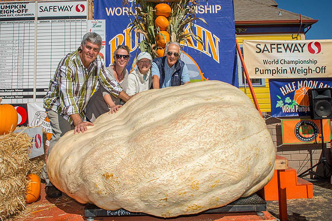Calabaza Gigante