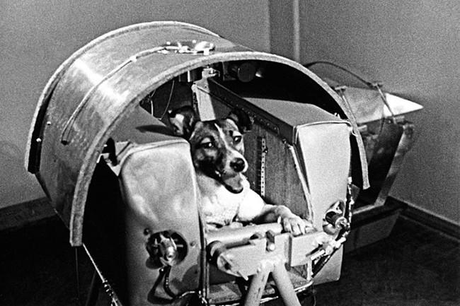 Laika Pionera