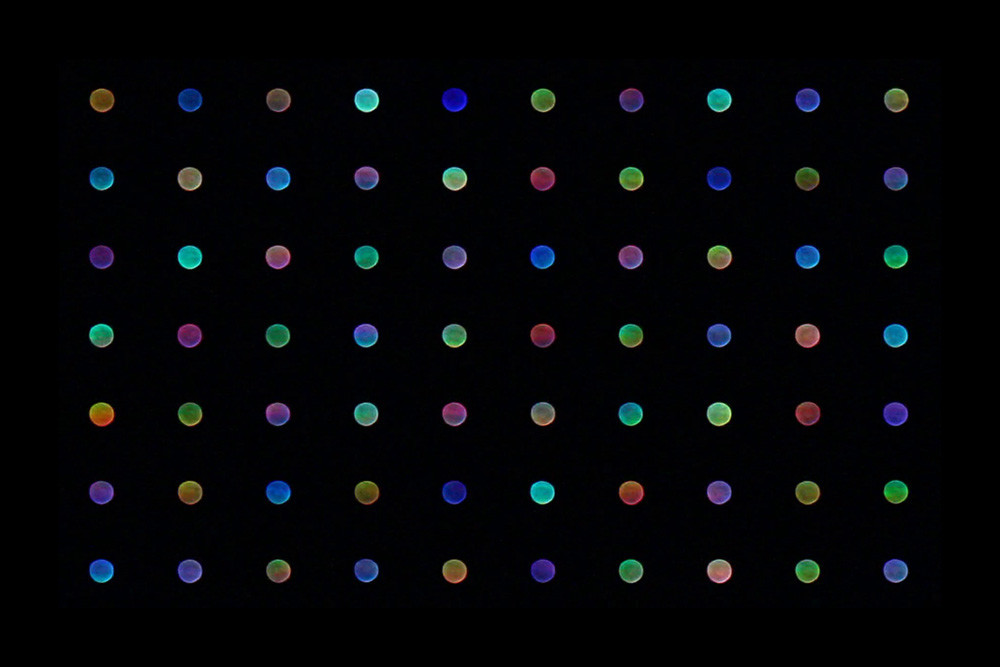 The Rainbow Star Steve Brown