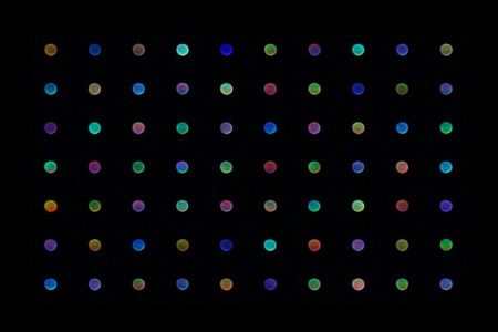 The Rainbow Star Steve Brown