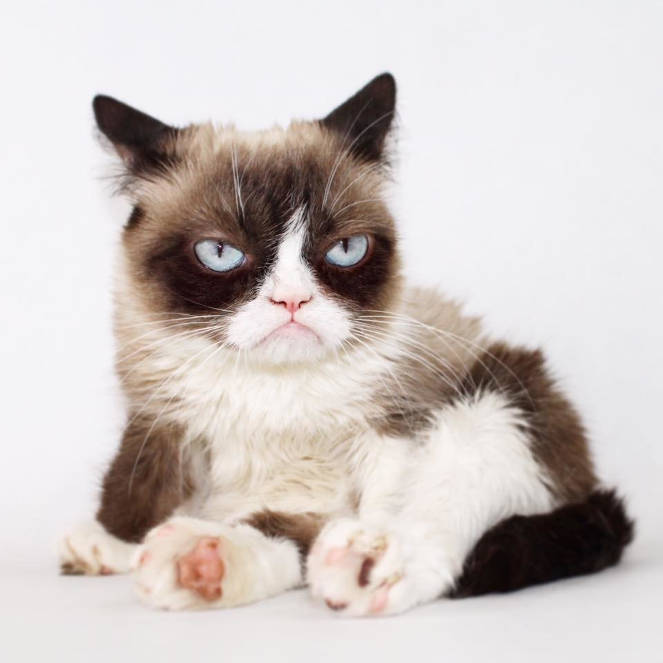 Las 7 mascotas más rentables de la historia de Internet