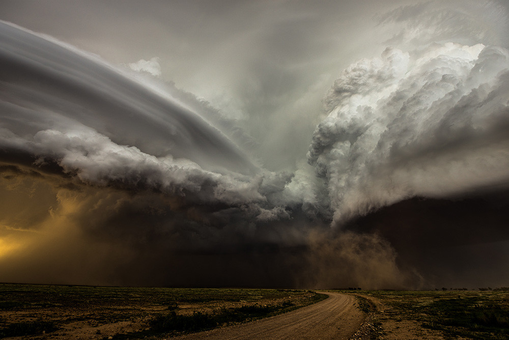 Camelia Czuchnicki Clash Of The Storms