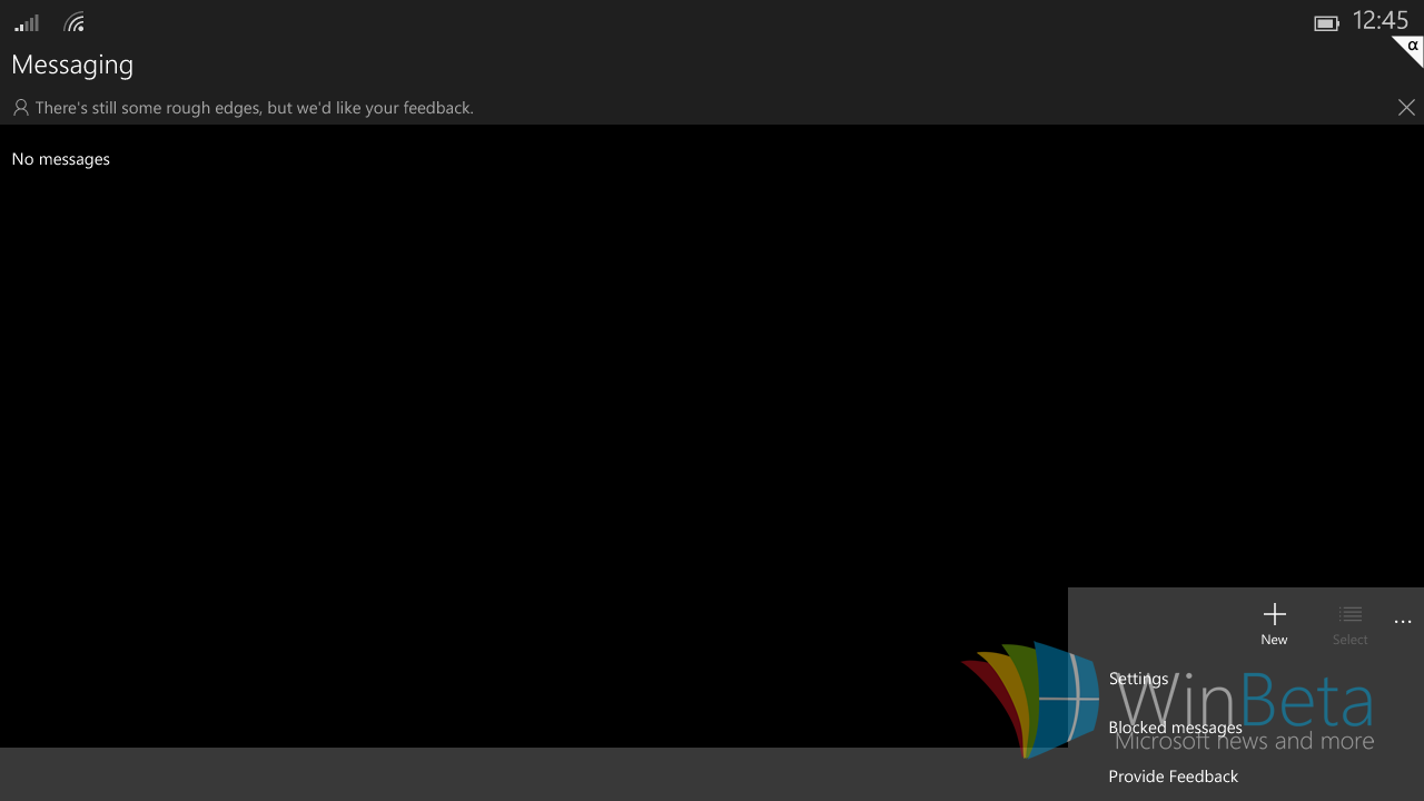 windows windows