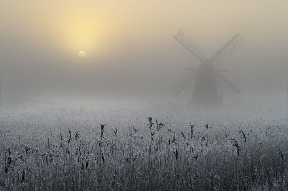 Andrew Bailey Freezing Fog And Hoar Frost