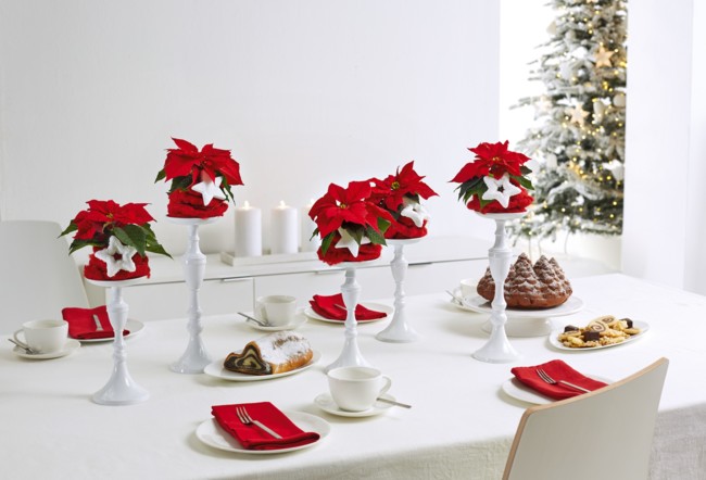 2015 Poinsettia Mesa De Navidad 02 Es