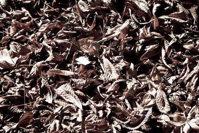 Consejos para darle un giro creativo a tus fotografías