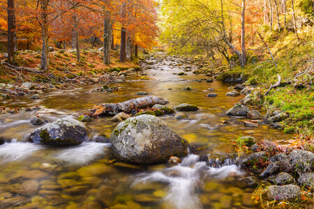 Sierra de Cebollera