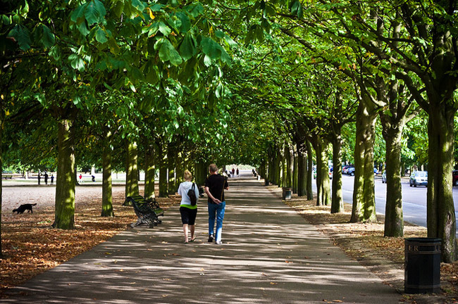 Pasear