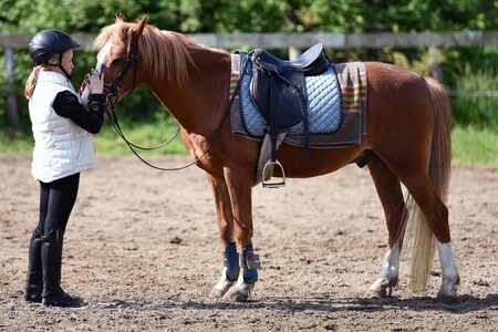 montar a caballo