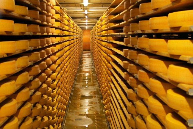 18 Gruyere