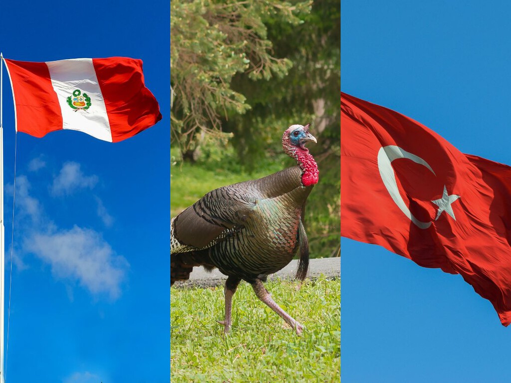 O grande paradoxo dos mapas: a confusão que fez o mundo inteiro dar o nome de uma única ave a dois países diferentes