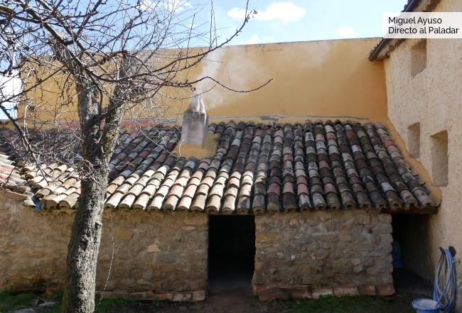 Cordero5