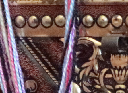 Img 0629 100