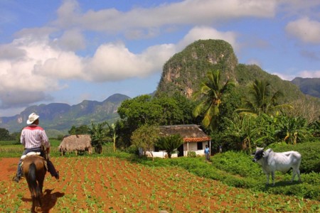 Valle de Viñales