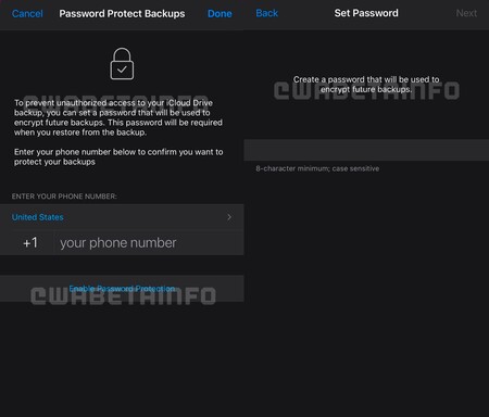 Whatsapp Copia Seguridad Password