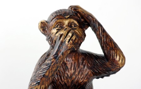Monkey 987886 960 720
