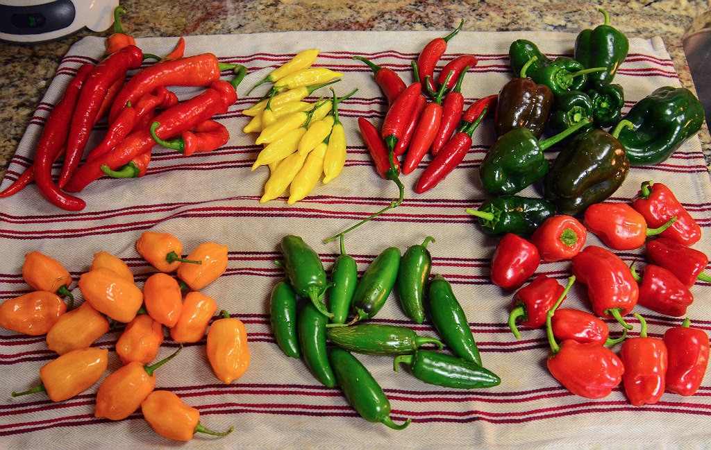 Chiles