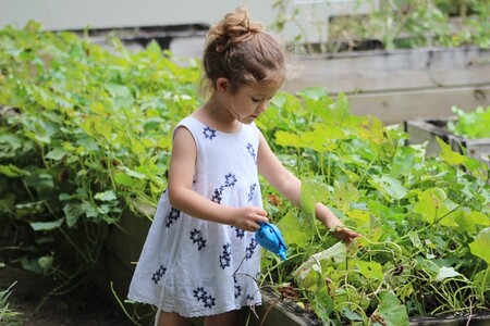 hacer jardinería