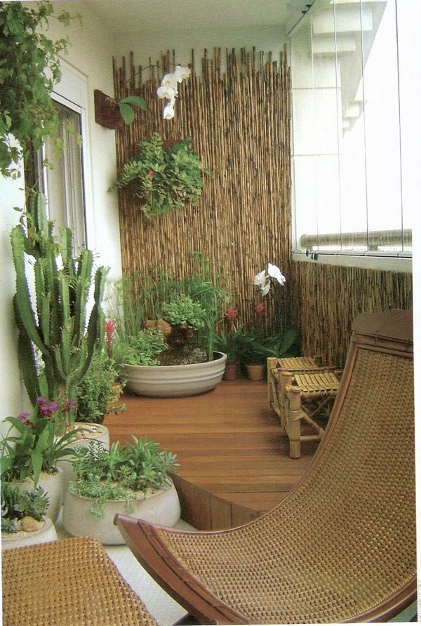 Pared Bambu Plantas