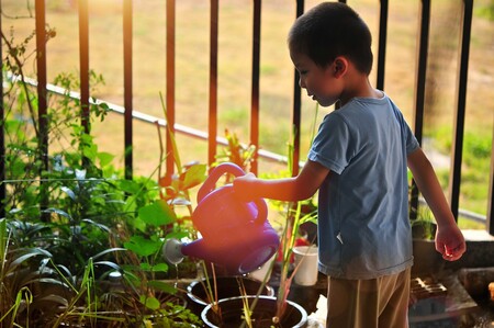 jardinería
