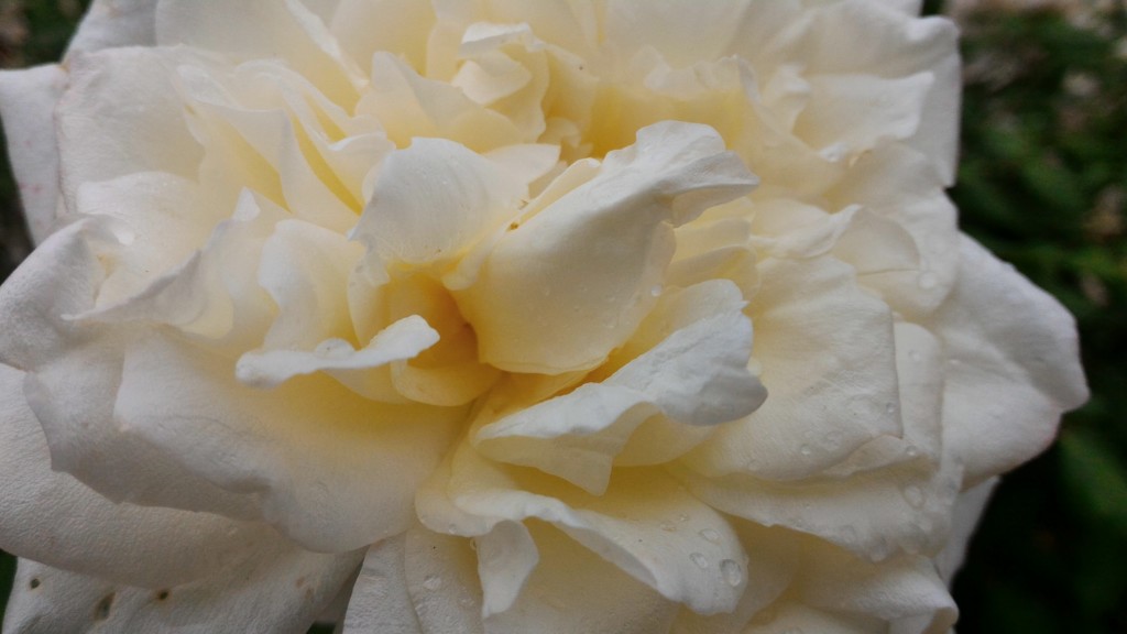 P 20151025 132356