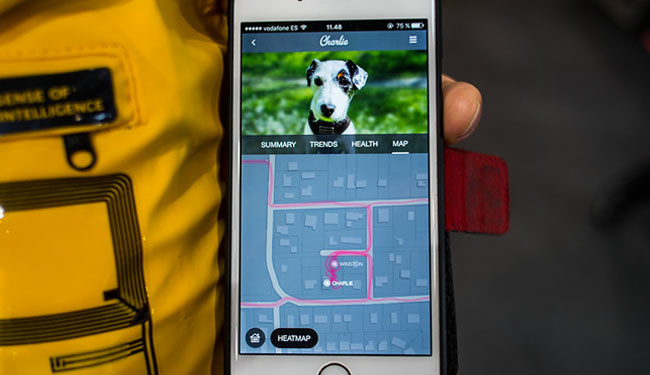 App de Sense of Intelligence