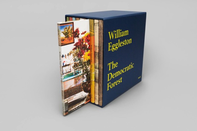 William Eggleston The Democratic Forest 3