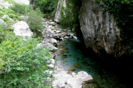 Naranjoo2