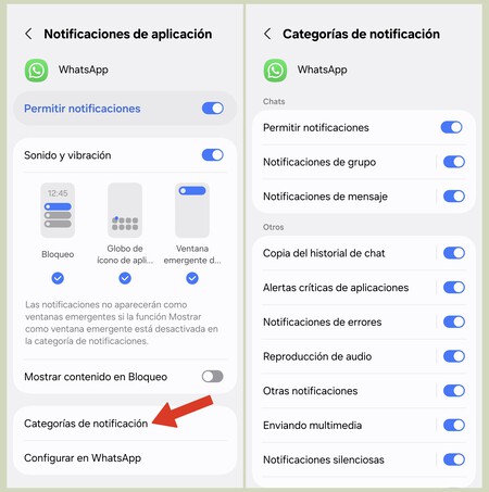 Notificaciones 5
