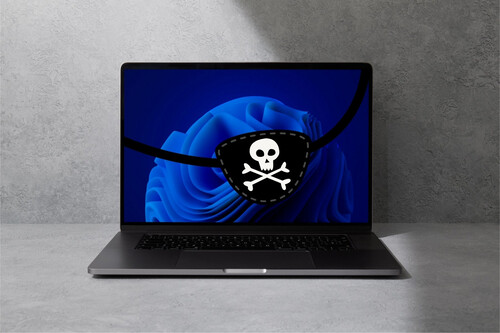 Windows 11