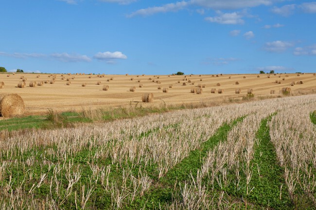 Agricultura Sca