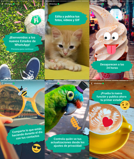 Ahora sí, WhatsApp Status ya está disponible en España