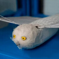 Pesquisadores chineses desenvolvem drones que batem asas em vez de usar hélices 