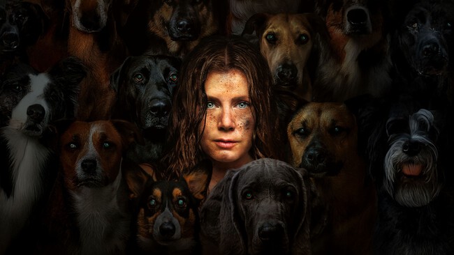 Canina