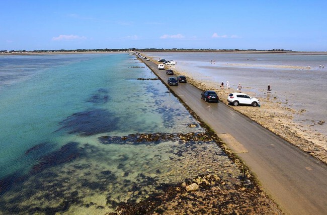 Paso Del Gois Apertura 2