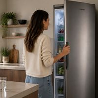 Abrir la puerta del frigorífico es uno de los gestos más repetidos en verano. Al final, lo pagamos en la factura de la luz
