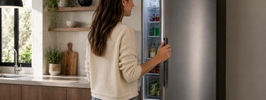 Abrir la puerta del frigorífico es uno de los gestos más repetidos en verano. Al final, lo pagamos en la factura de la luz