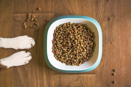 Alimentos Perros