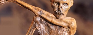 Cientistas examinam múmia de 5.300 anos mantida em congelador por 30 anos e fazem descoberta chocante: ela abriga um ecossistema com organismos vivos 
