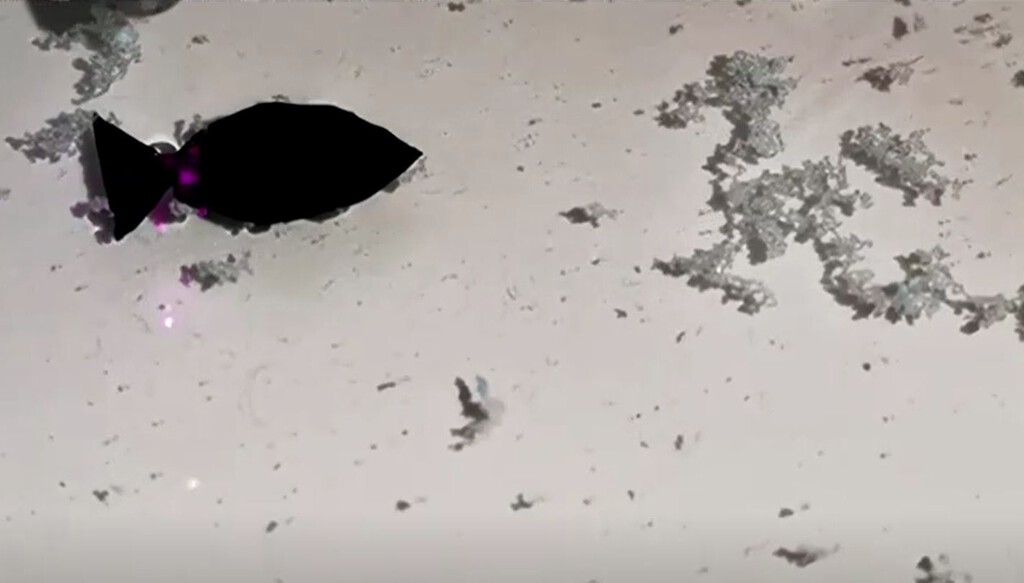 Un diminuto pez robot que 