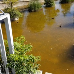 fotografias-tomadas-con-huawei-ascend-p7