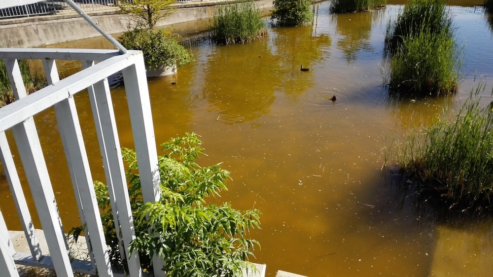 Foto de Fotografías tomadas con Huawei Ascend P7 (1/10)