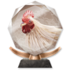 Trofeo El Dinero Da La Felicidad Yakuza L