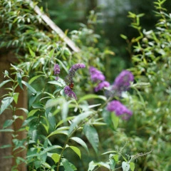 Foto 12 de 16 de la galería muestras-fe-50mm-f1-4-za en Xataka Foto