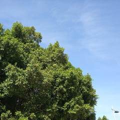 image01