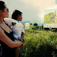 Em 2003, Angelina Jolie comprou uma floresta no Camboja: transformou-a em uma reserva e deu trabalho a dezenas de pessoas. 