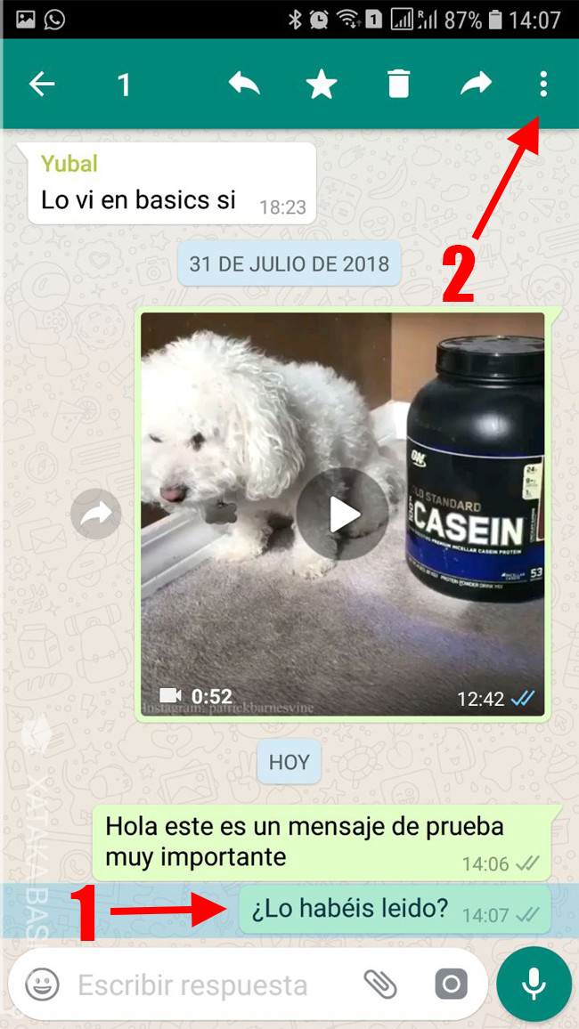 Cómo saber a qué hora y quién ha leído los mensajes en un grupo de WhatsApp