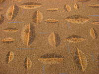 Moqueteros