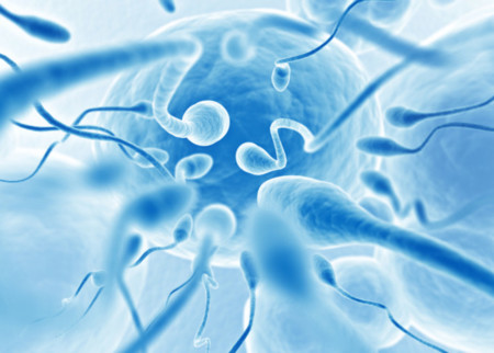 Un test en Japón capaz de hacer un recuento de espermatozoides desde el móvil